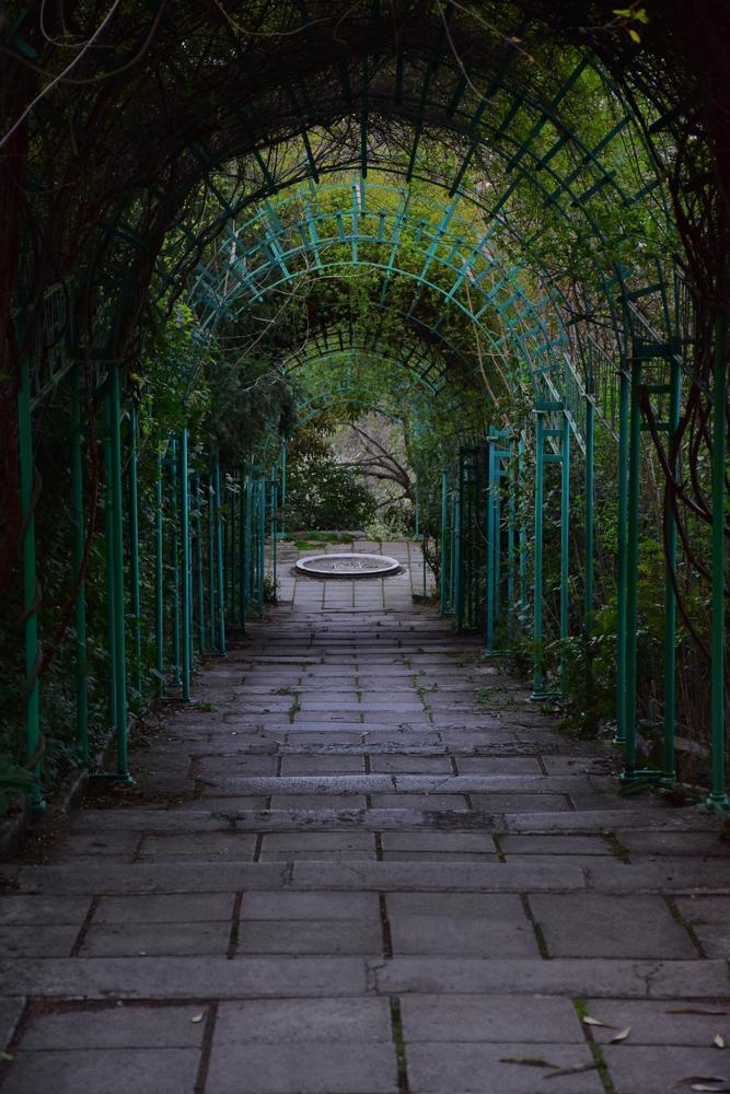 Photograph by Наталья Хаптева