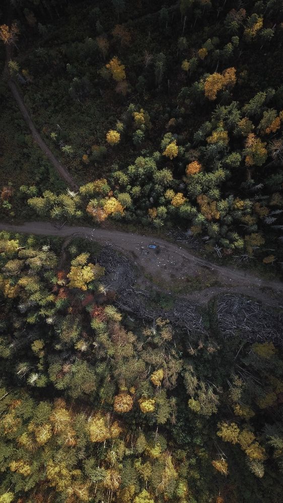 Photograph by Александр Сергиенко