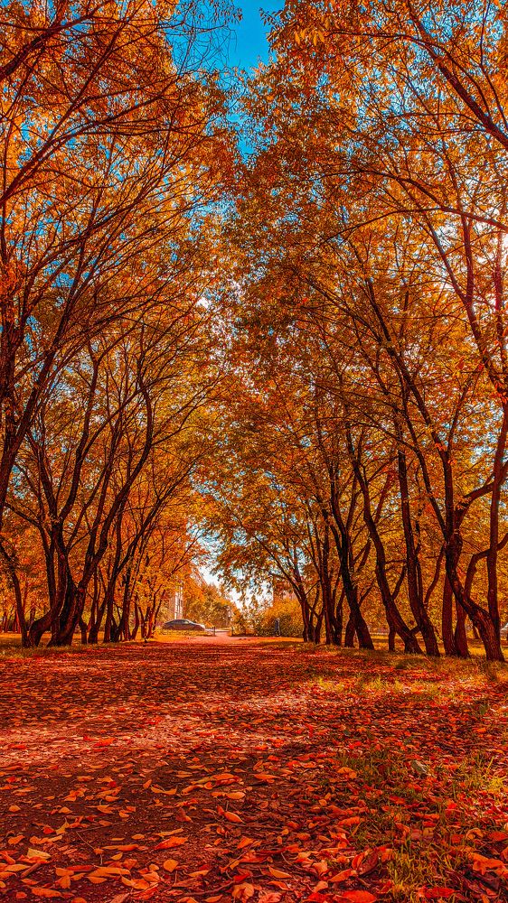 Photograph by Денис Бочаров