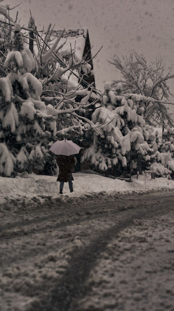 Photograph by  Мелсон