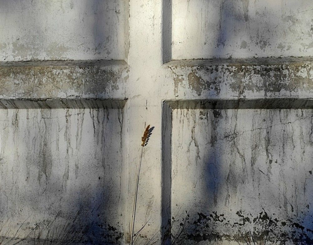 "Я твой тонкий колосок... "