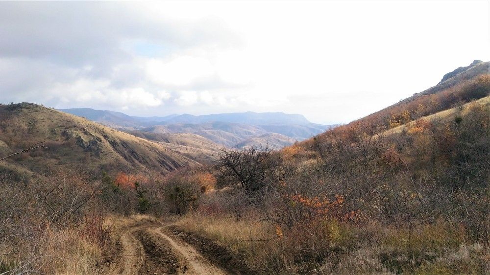 Photograph by Елена Юрьевна Шубенкина