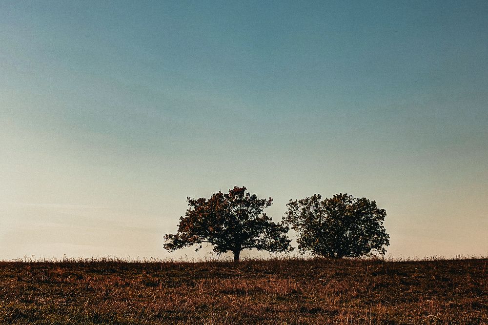 Photograph by Денис Бочаров