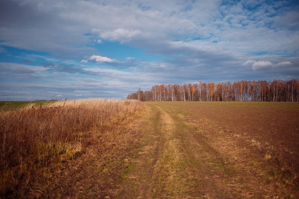 Photograph by Ольга Гаврилова