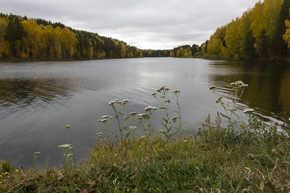 Photograph by Anna Gapanovich