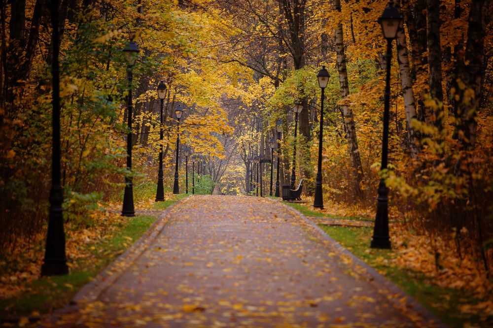 Photograph by Ольга Гаврилова