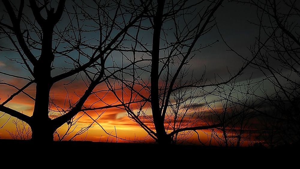 Photograph by Лидия