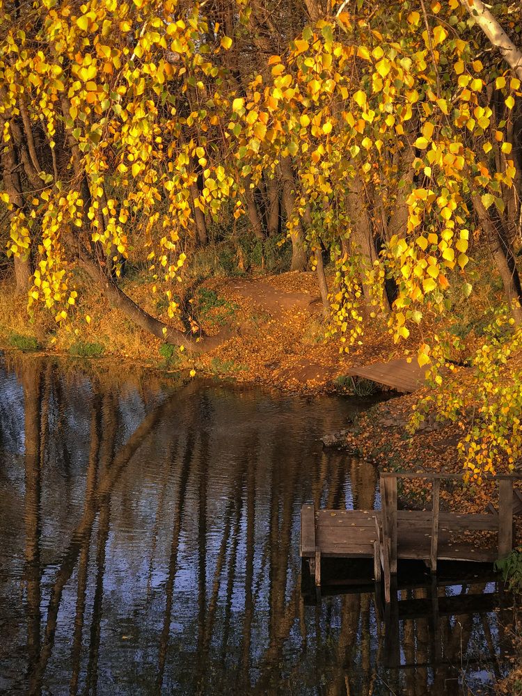 Photograph by Наталья Перерва