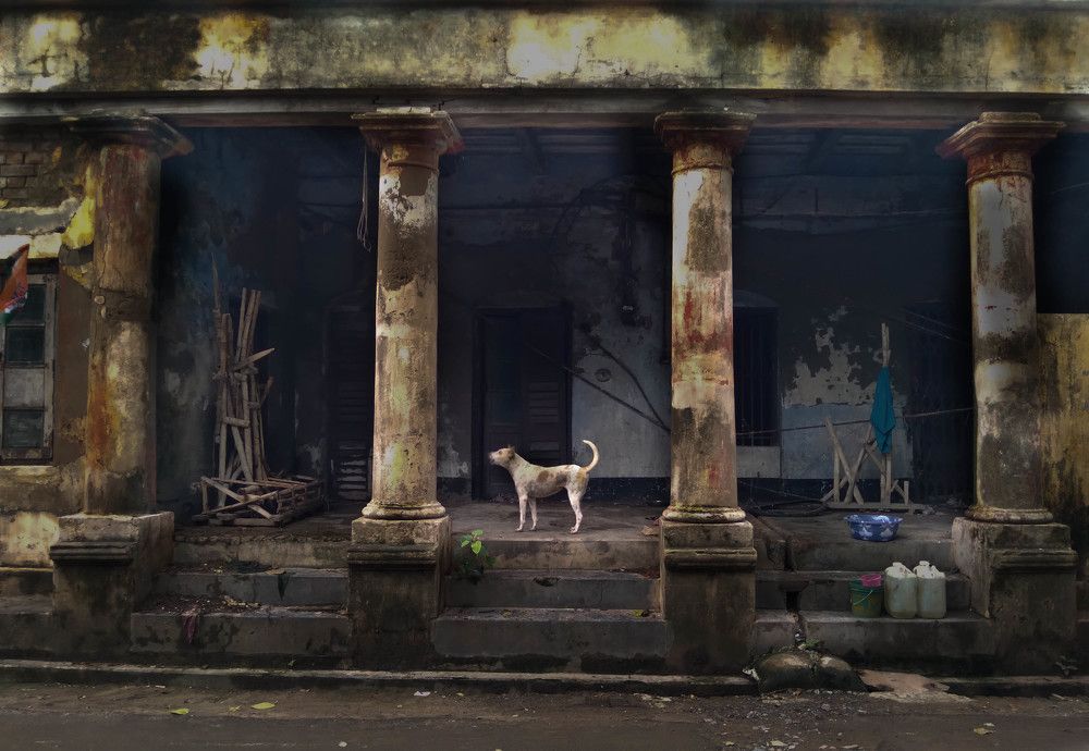 Фотография автора Sayantan Chakraborty