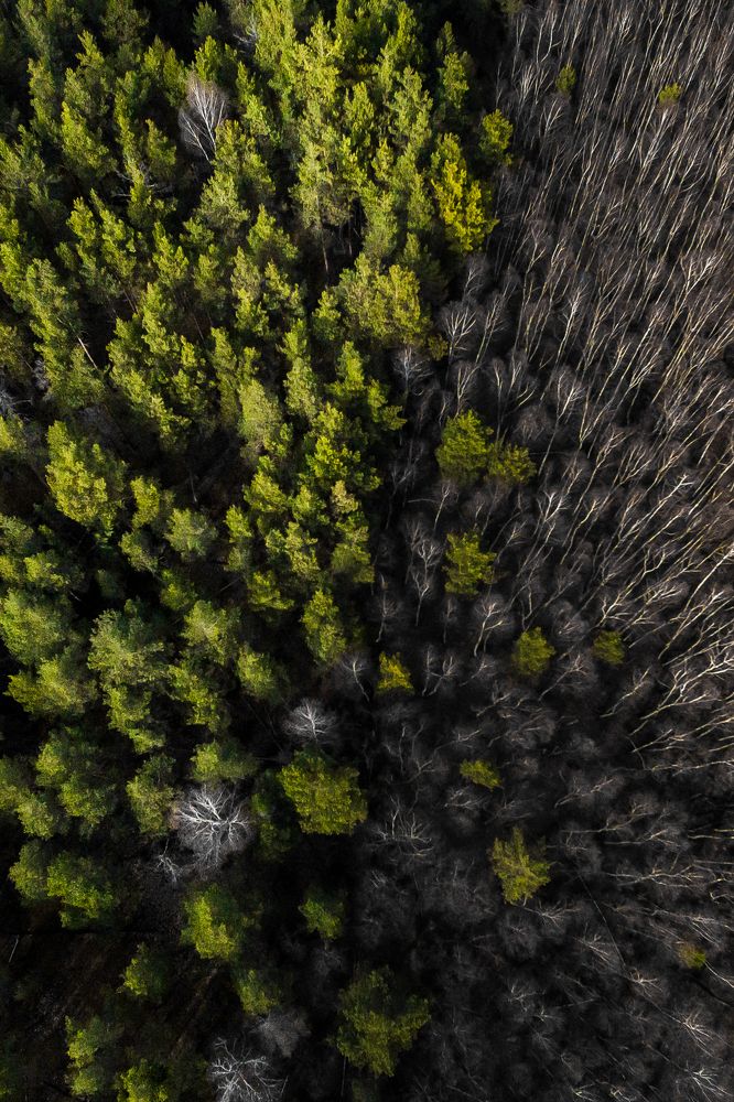 Photograph by Денис Соловьёв