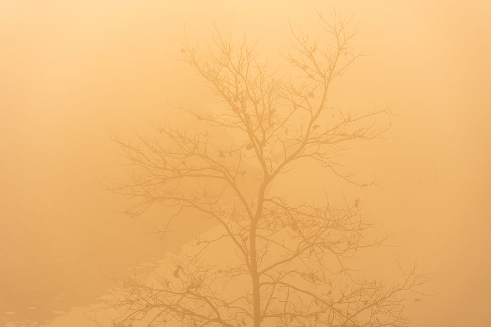 Photograph by Somdeb Mandal