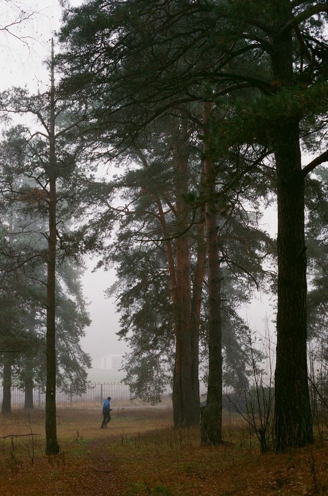 Photograph by Татьяна Мартынова