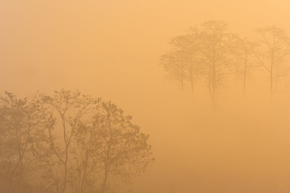 Photograph by Somdeb Mandal