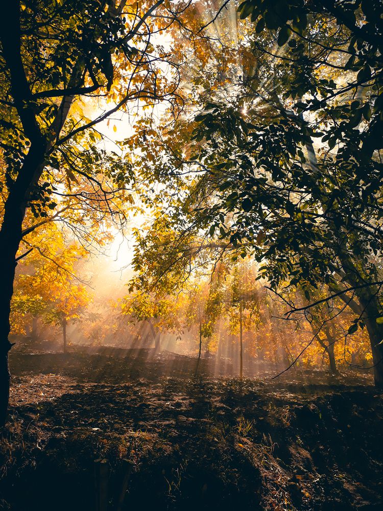 Photograph by Bahrami Ashkan