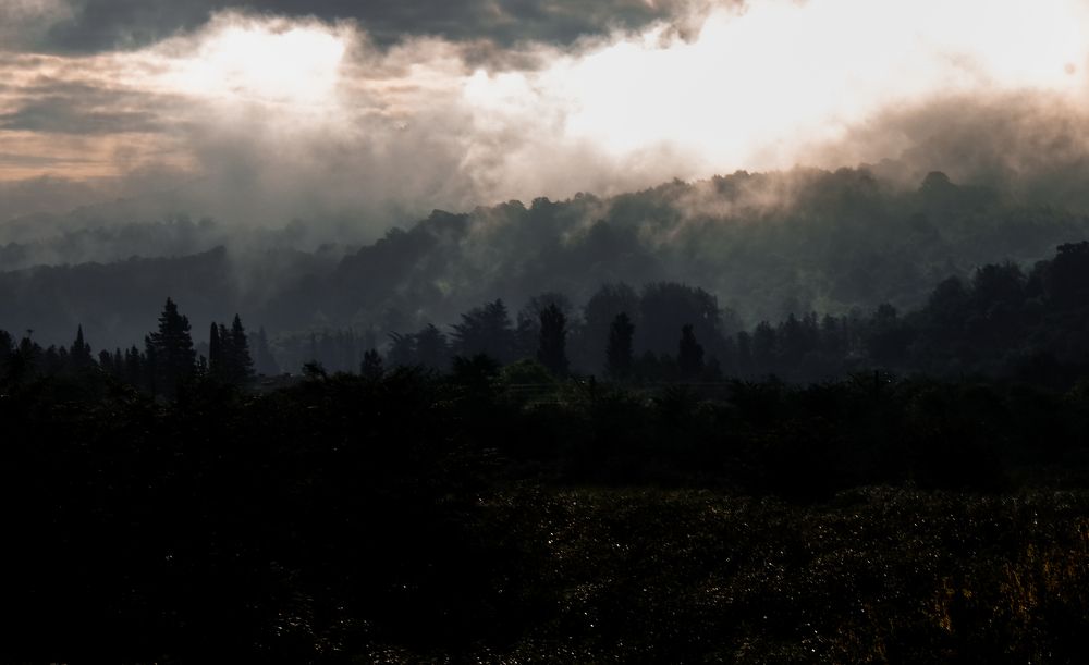 Photograph by Кристина Власова