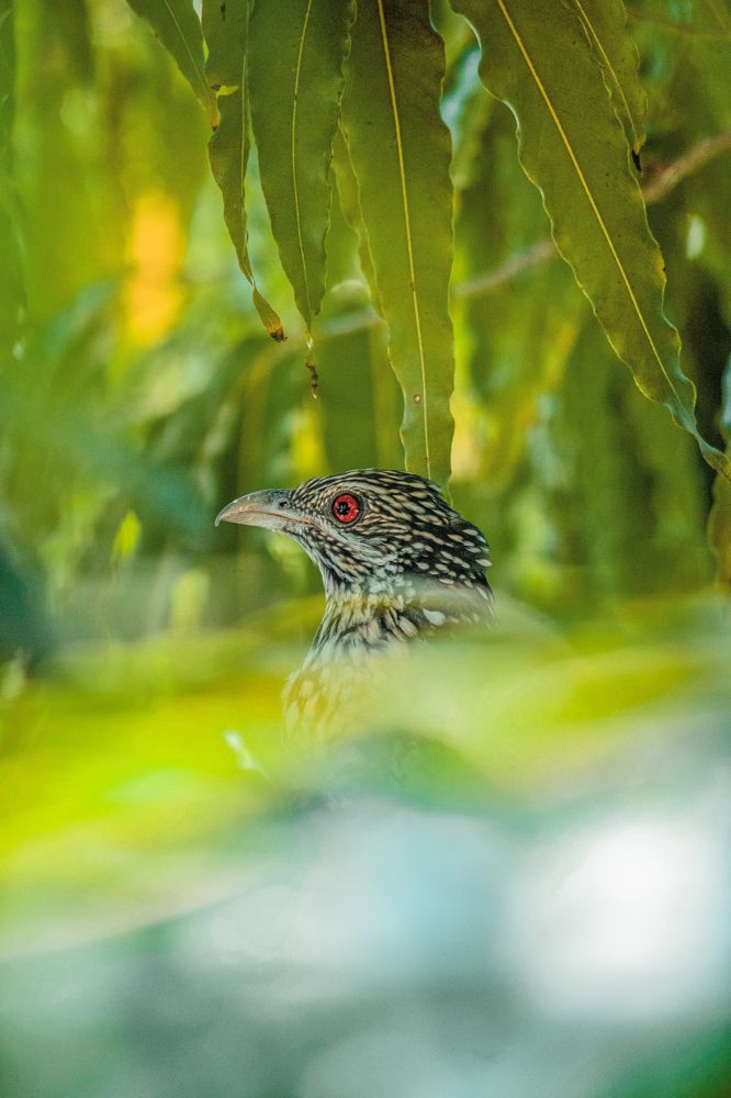 Photograph by Varun Bhusari