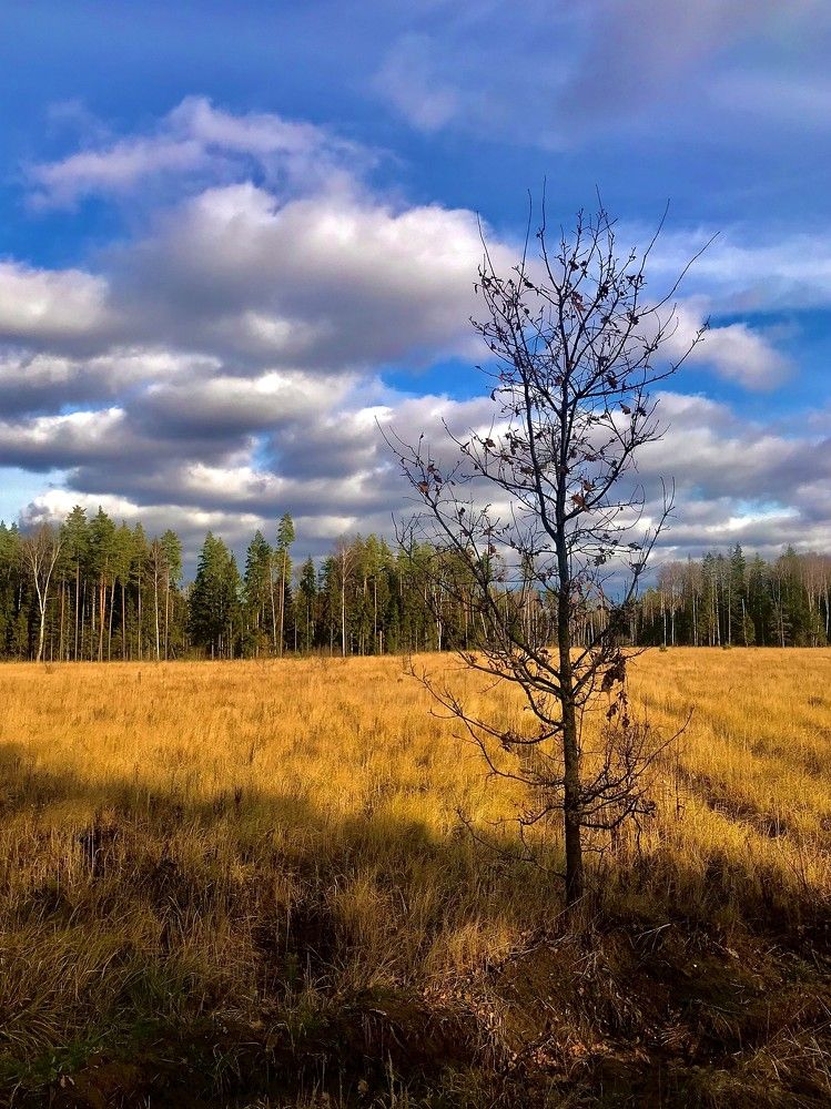 Photograph by Михаил Некрасов