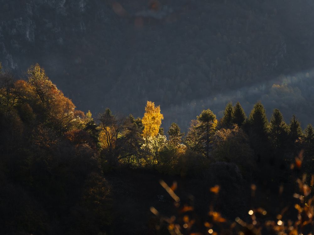 Photograph by humberto linares