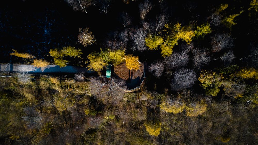 Photograph by humberto linares