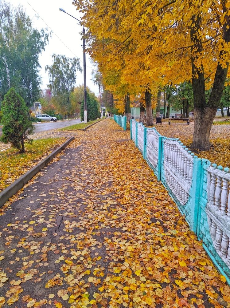 Photograph by Артём Зелюкин