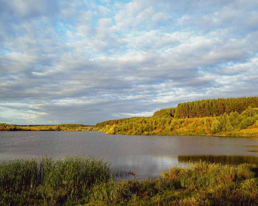 Photograph by Артём Зелюкин