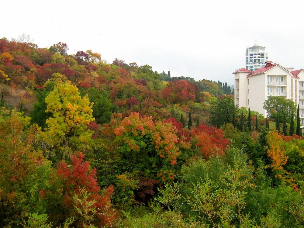 Photograph by Юрий Тихонов