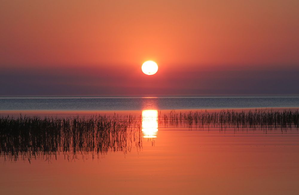 Photograph by Дмитрий Забирченко