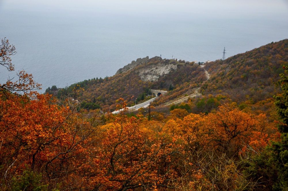 Photograph by Виктория Сметанина