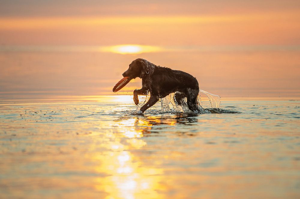 Photograph by Photo Lesnoe