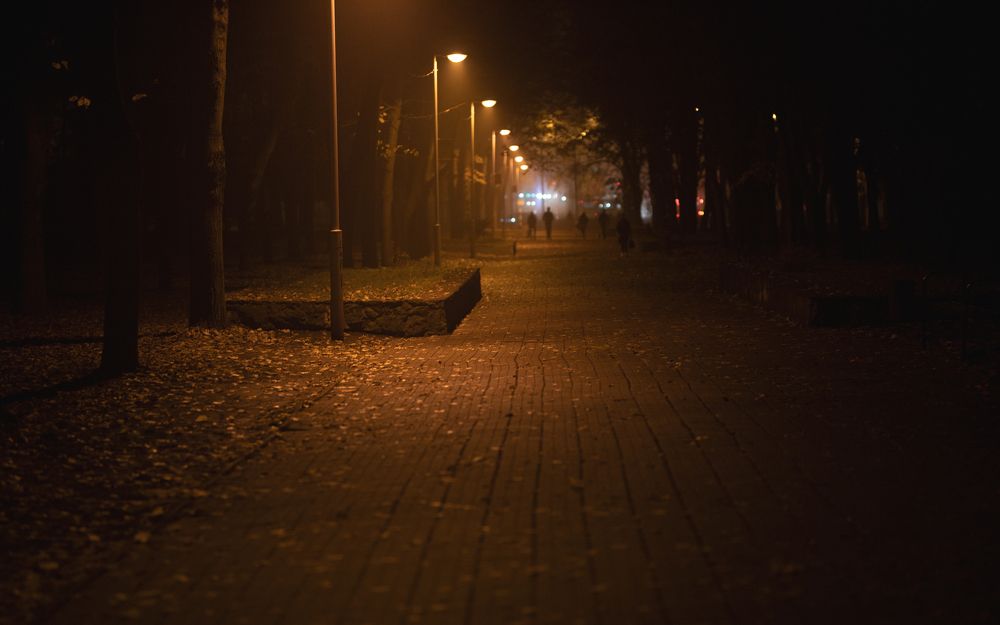 Фотография автора Александр Нестеренко