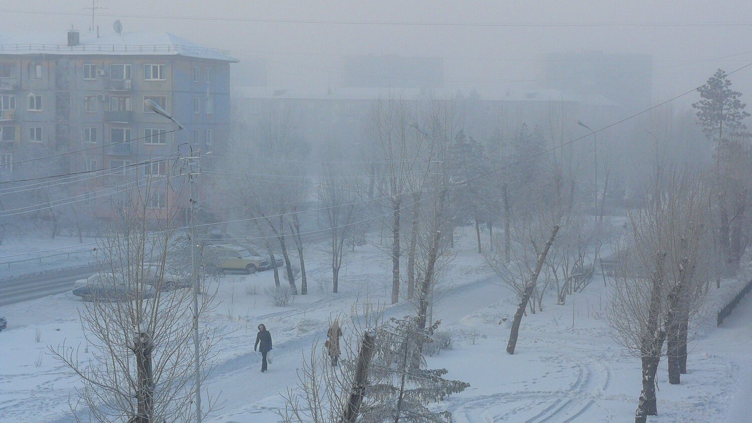 Photo #6705900