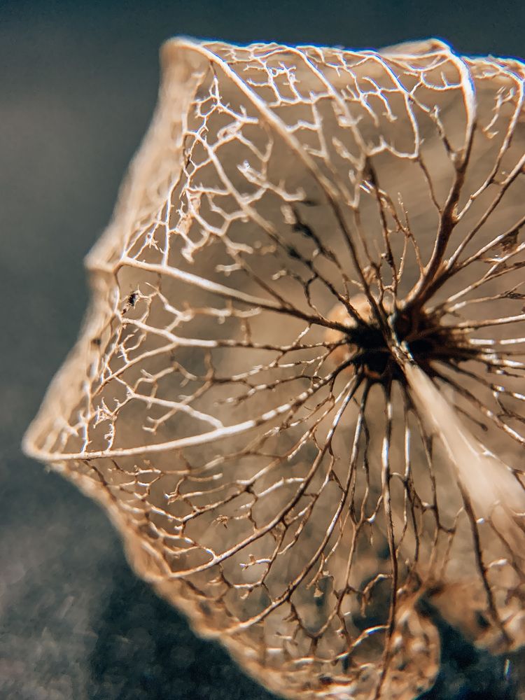 Photograph by Анна Белова