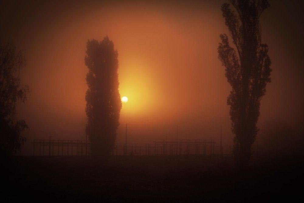 Photograph by Maks315519