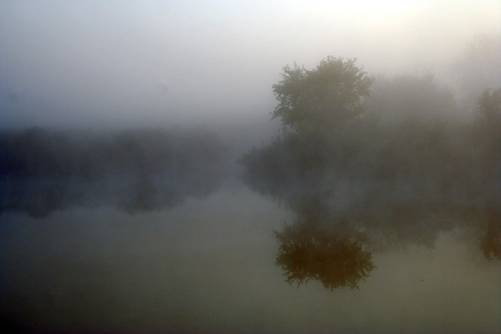 Photograph by Maks315519