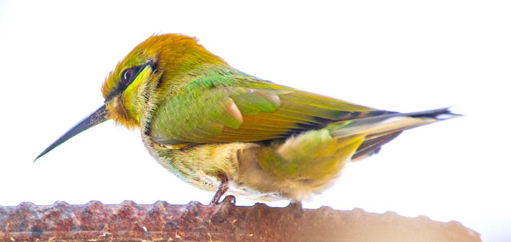 Photograph by islam elsayed eldaramlly