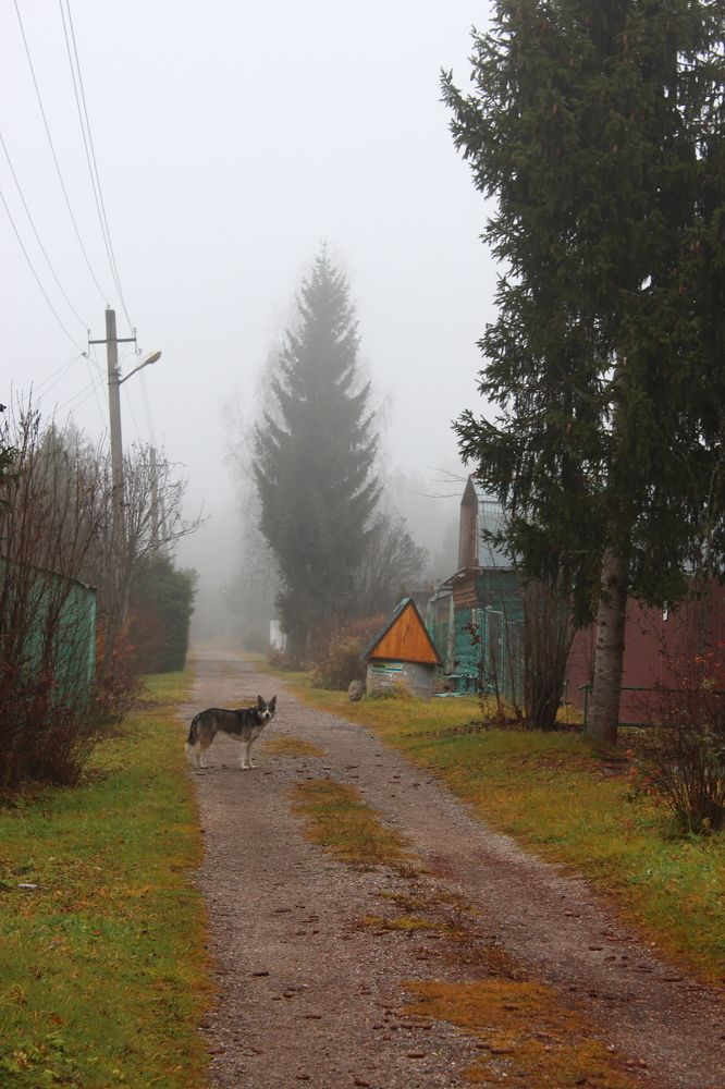 Photograph by Oxana Maiorova