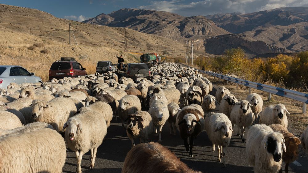 Photograph by Наталья Кокорина