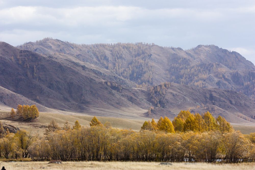 Photograph by Юлия Силина