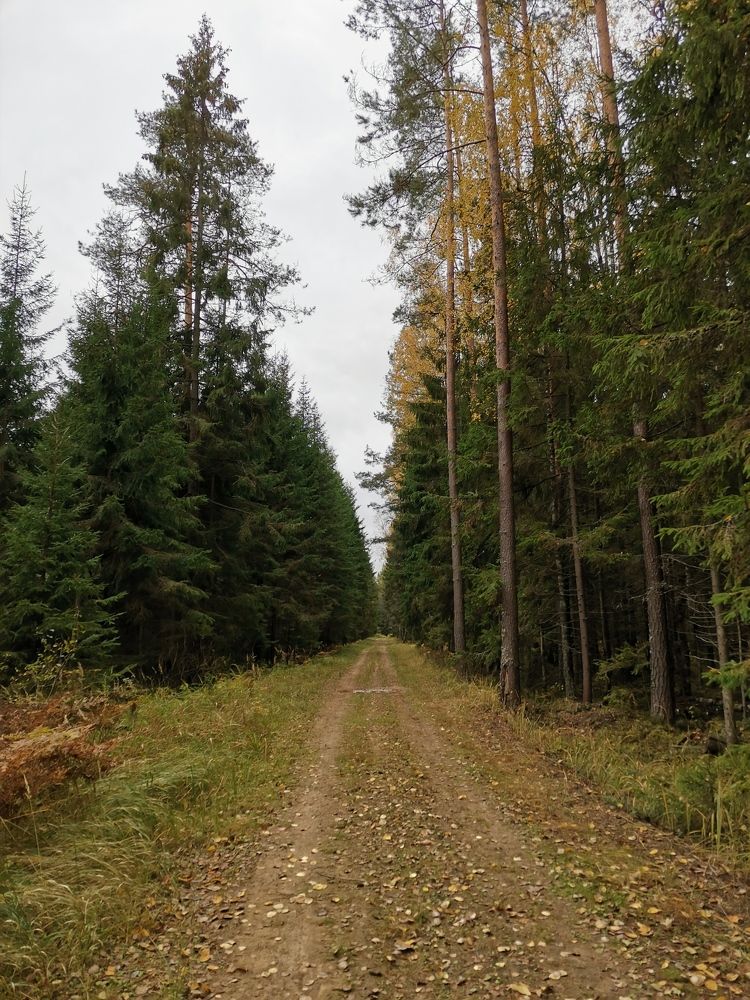 Photograph by Юрий Бирюков