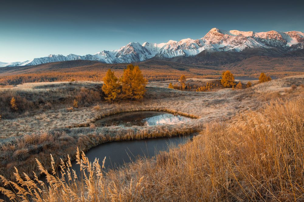 Photograph by Алексей Новиков