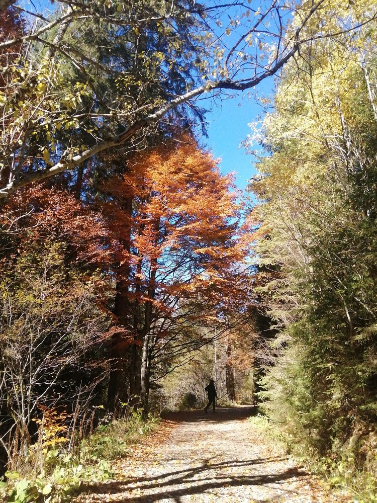 Photograph by Mila Gaziuc