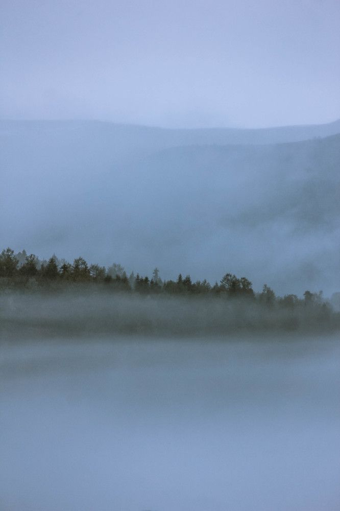 Photograph by Ольга Григоренко