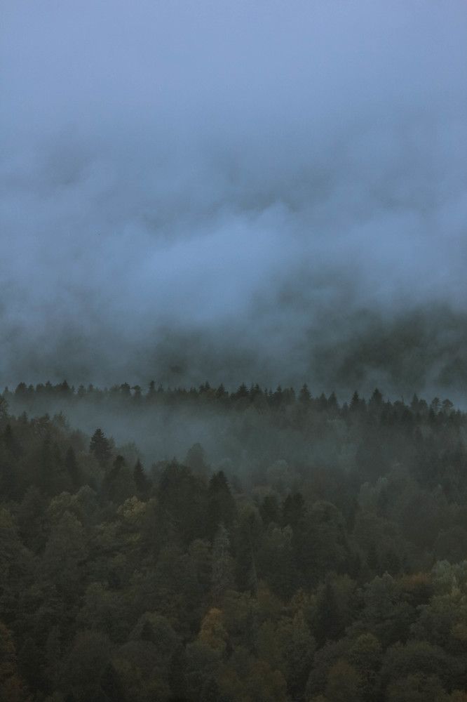 Photograph by Ольга Григоренко