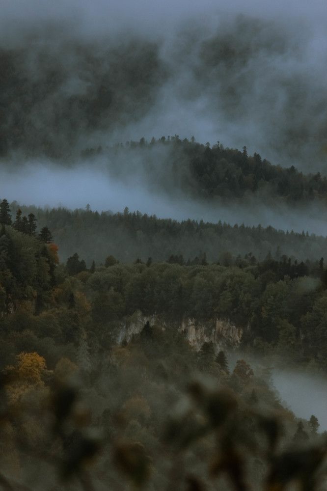 Photograph by Ольга Григоренко