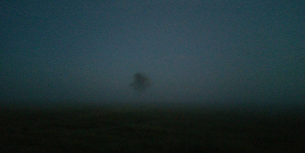 Photograph by Лидия