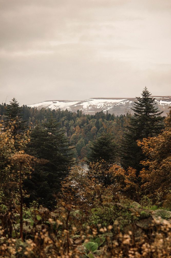 Photograph by Ольга Григоренко