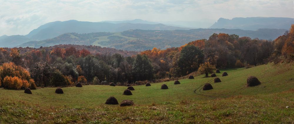 Photograph by Ольга Григоренко