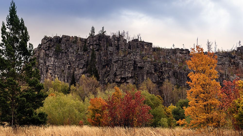 Ликовала осень...