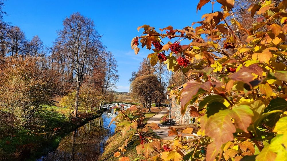 Photograph by Ольга Михайлова