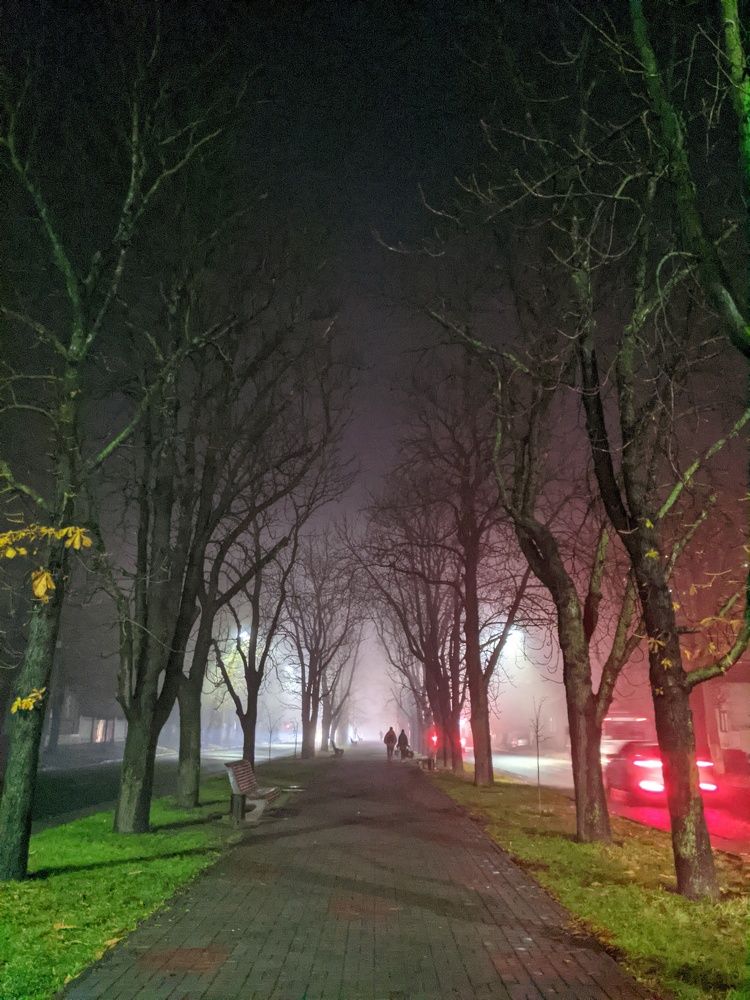 Photograph by Людмила Шепетовская